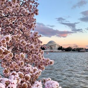 Meet your Posher, Analisa